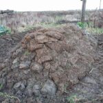 2019-01-02 Bouw hügel met graszoden (2)