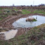 2019-01-02 Grotere poel met flauwe oevers (3)