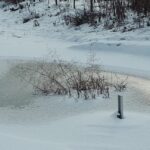 2019-01-23 (7) Met eilandje in verdiepte poel