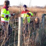 20191227 haag aanplant (2)