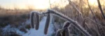 2023-01-18 opname Vroege Vogels. Winters landschap (6)