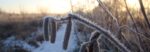 2023-01-18 opname Vroege Vogels. Winters landschap (6)