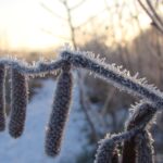 2023-01-18 opname Vroege Vogels. Winters landschap (6)