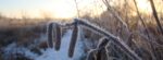 2023-01-18 opname Vroege Vogels. Winters landschap (6)