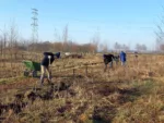 2024-01-17 DPG plantwerk (Wim) (3)