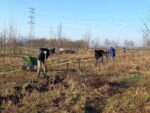 2024-01-17 DPG plantwerk (Wim) (3)