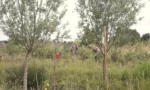 2025-06-25-bessen-plukken-voor-Food-Via-kleurig-kl-kopie