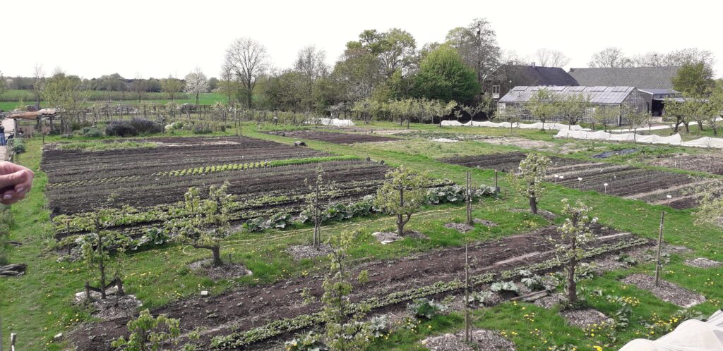 groentetuin-Hof-Bredelaar-19-4-2025