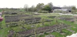 groentetuin-Hof-Bredelaar-19-4-2025