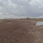 22-3-2016 poel en wal aangelegd.