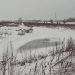 23-1-2019 hartenpoel
