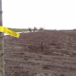 Maart, Rheinische Schattenmorel en de rest van de boomgaard.