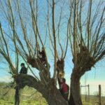 25-03-2017 kinderen knotten voor wilgentakken voor hun natuurspeelplaats in Elst. foto Eva Remke