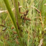 680cb5e9-1052-496f-86af-191561855c44