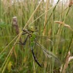 85b5fc6f-2827-4a74-b951-e4aa844754e1