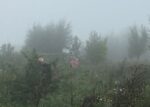 IMG-6072