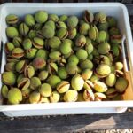 PHOTO-2019-09-07-18-15-21