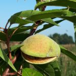 PHOTO-2019-09-07-18-15-59