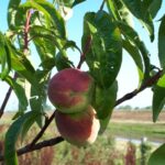 PHOTO-2019-09-07-18-16-21