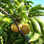PHOTO-2019-09-07-18-17-07