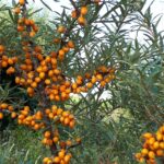 PHOTO-2019-09-07-18-17-31