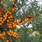 PHOTO-2019-09-07-18-17-31-600×400