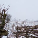 PHOTO-2021-02-08-15-44-48