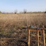 PHOTO-2021-02-20-13-16-42