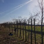 PHOTO-2021-02-20-13-16-44