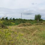 PHOTO-2021-08-10-17-53-42-1