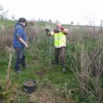 Peilbuizen 16-11-2019 (1)