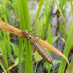 a95b5382-3c57-437d-987b-540cd0ef320e