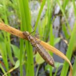 a95b5382-3c57-437d-987b-540cd0ef320e