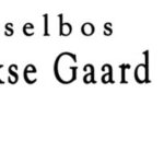 banner 3