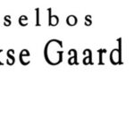 banner 3