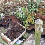 februari 2020 deel nieuwe aanplant wacht af in het toilet