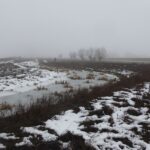januari 2017 een ijskoud voedselbos