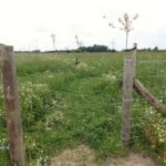 juli 2016 welkom over het uitgezeiste pad