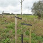 oktober 2017 Pondpeer begint van onderop
