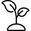 sprout_9293649